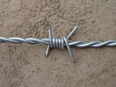 雙股刺繩 雙股刺繩